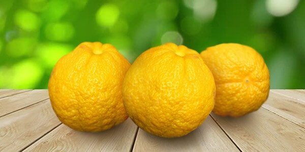 Різновиди цитрусових фруктів: список і опис