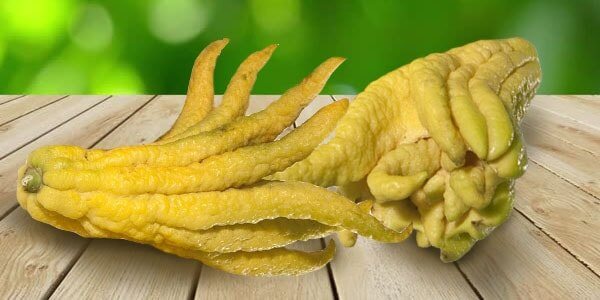 Різновиди цитрусових фруктів: список і опис