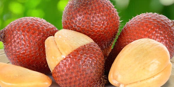 Салак екзотичний зміїний фрукт корисні властивості і шкоду