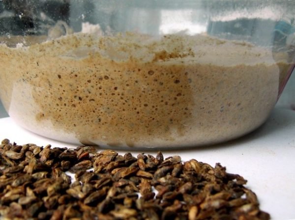 Вино з родзинок: вибір інгредієнтів, як зробити закваску для напою, прості рецепти приготування в домашніх умовах