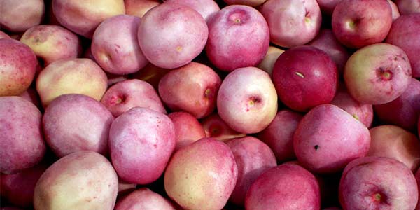 Золота слива (икако), корисні властивості, опис, склад