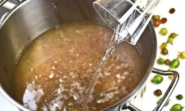 Вино з агрусу в домашніх умовах простий рецепт: найкращі способи приготування   класичний, зеленої, червоної, чорної ягоди