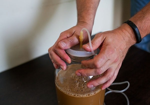 Вино з ранеток: прості й оригінальні рецепти приготування в домашніх умовах