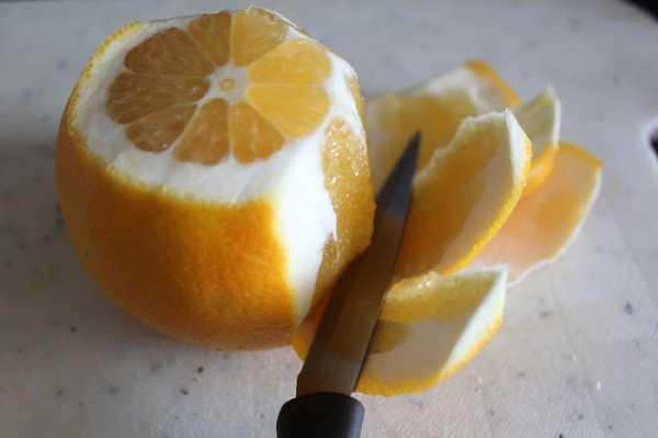 Вино з ранеток: прості й оригінальні рецепти приготування в домашніх умовах