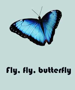 Вірші про тварин для дітей на англійській мові Вірші про тварин для дітей на англійській мові