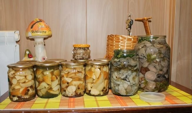 Засолювання грибів на зиму – 5 рецептів приготування гарячим і холодним способом