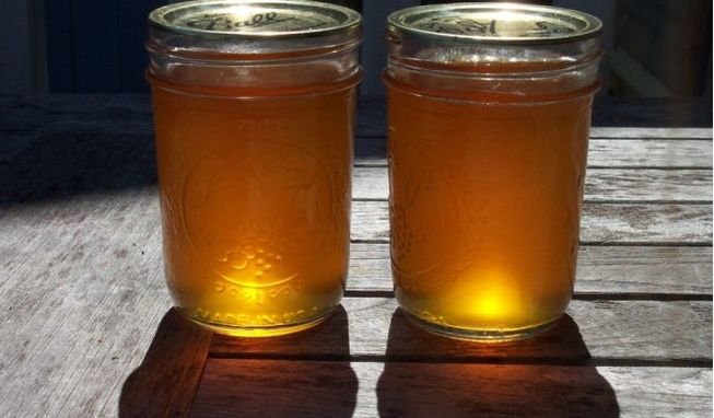 Обліпиха — заготівля на зиму корисної і смачної ягоди