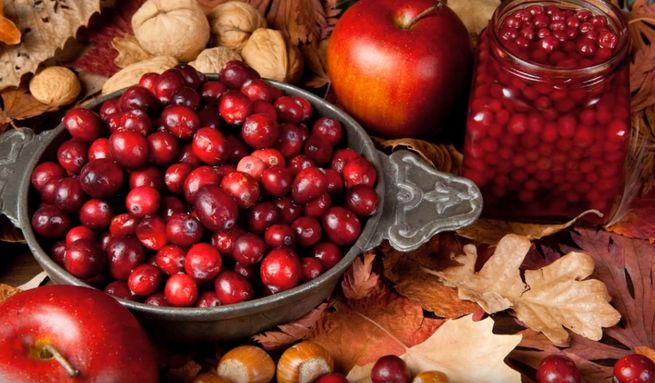 Журавлина: користь для здоровя, використання і покрокові рецепти