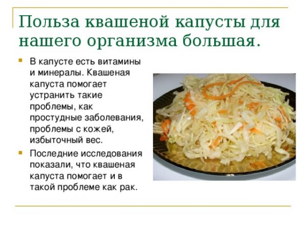 Коли квасити капусту в лютому   сприятливі та несприятливі дні