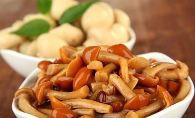 Засолювання грибів на зиму – 5 рецептів приготування гарячим і холодним способом