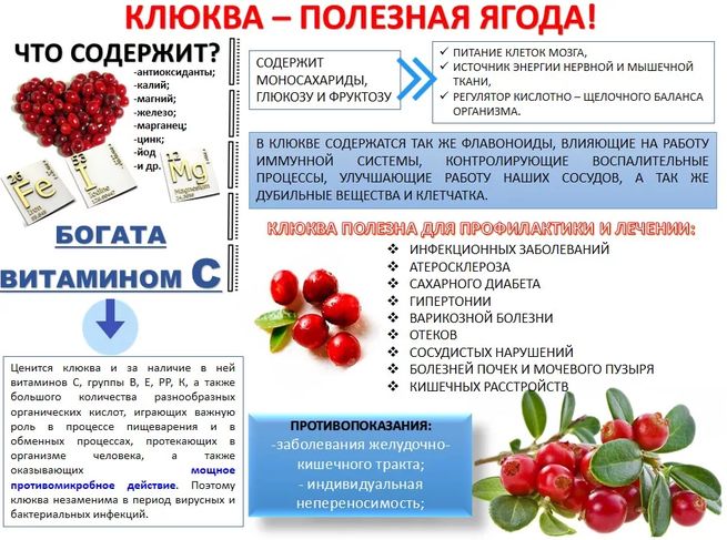 Журавлина: користь для здоровя, використання і покрокові рецепти