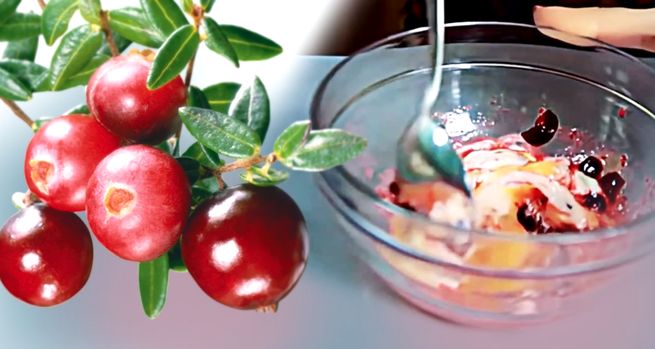 Журавлина: користь для здоровя, використання і покрокові рецепти