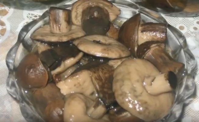Гриби мариновані на зиму — 7 кращих рецептів приготування