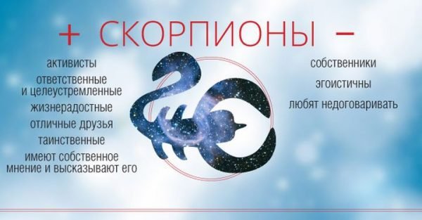 Любовний та фінансовий гороскоп на лютий 2019 2020 рік за знаками зодіаку