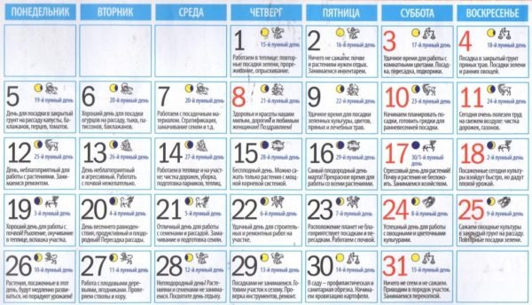 Коли квасити капусту в березні 2019?