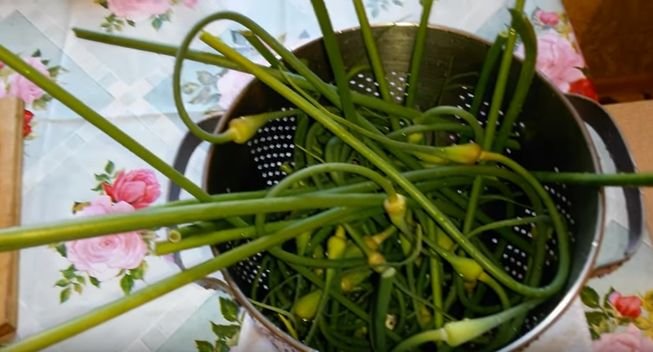 Мариновані стрілки часнику — рецепт швидкого приготування на зиму
