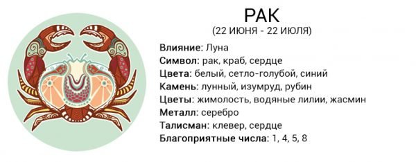 Любовний та фінансовий гороскоп на лютий 2019 2020 рік за знаками зодіаку