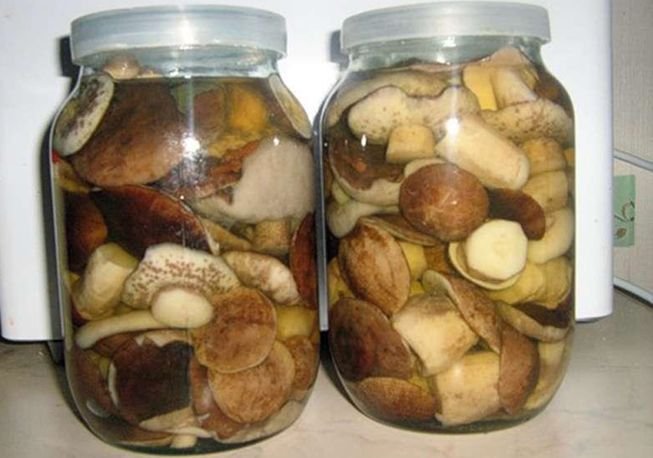 Засолювання грибів на зиму – 5 рецептів приготування гарячим і холодним способом