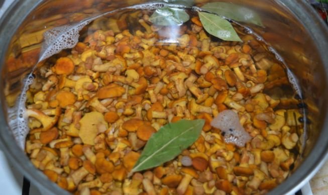 Гриби мариновані на зиму — 7 кращих рецептів приготування