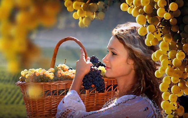 Що таке родзинки? Користь і шкода сушеного винограду для людини Що таке родзинки? Користь і шкода сушеного винограду для людини