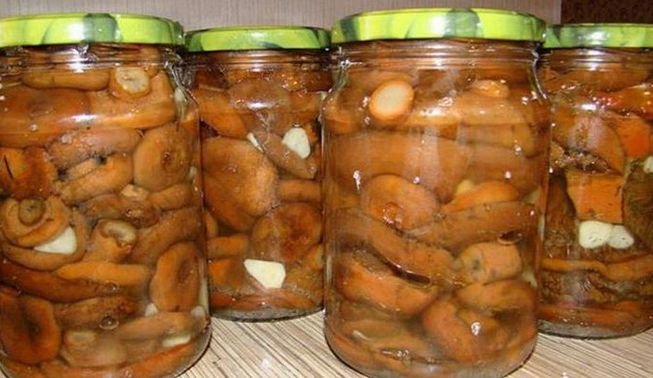 Гриби мариновані на зиму — 7 кращих рецептів приготування