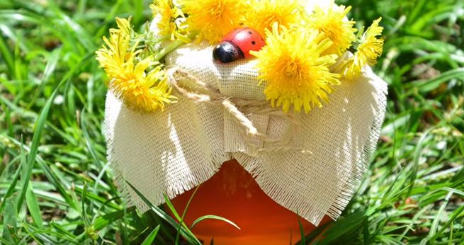 Варення з кульбаб: смачні й корисні рецепти варення одуванчикового