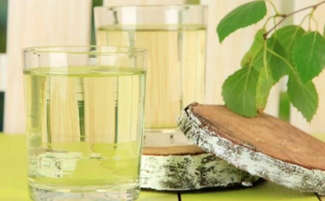 Як збирати, законсервувати і зберігати березовий сік у домашніх умовах Як збирати, законсервувати і зберігати березовий сік у домашніх умовах