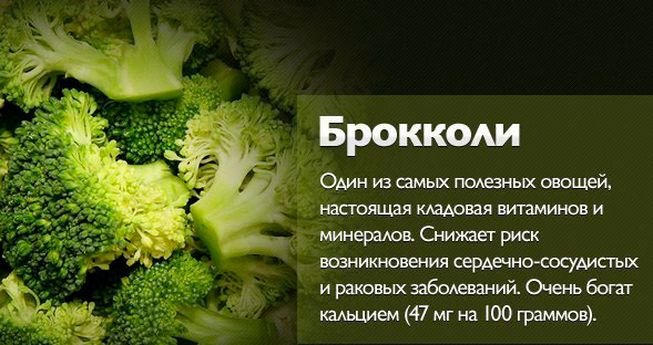 Капуста брокколі   корисні властивості і протипоказання
