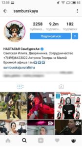 Скільки заробляють в Инстаграме і від чого це залежить