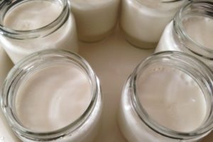 Що це таке – термостатный йогурт Що це таке – термостатный йогурт