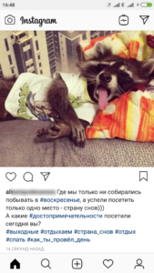 Як правильно поставити хештеги в Инстаграме під фото