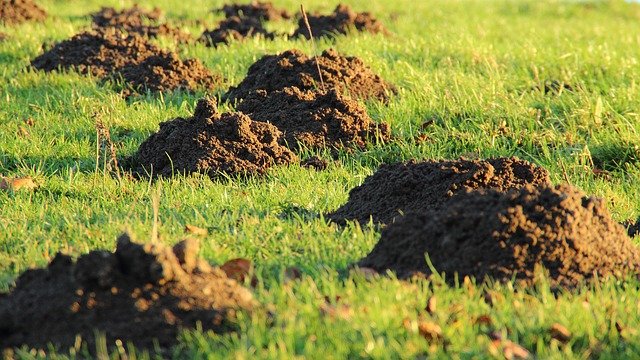 Як виконувати змови на вірність чоловіка