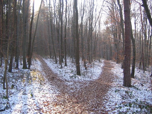 Які змови читати, щоб чоловік зробив пропозицію