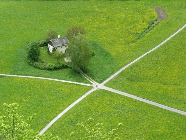 Застосування змов на вдалу продаж щенят