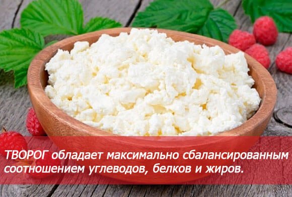 Скільки білка і вуглеводів в сирі