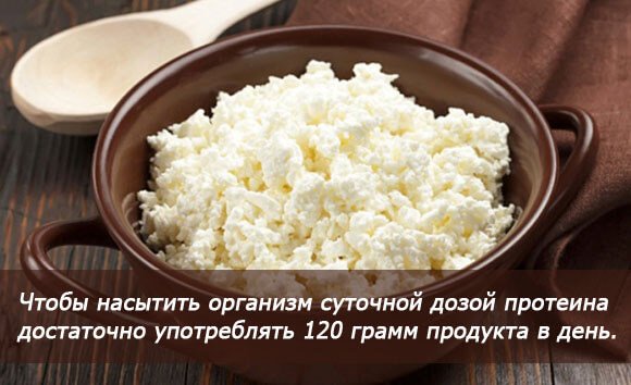 Скільки білка і вуглеводів в сирі