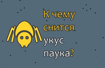 До чого сниться укус павука — значення сновидіння по соннику 41