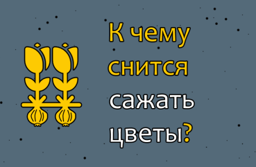 До чого сниться посадка квітів — тлумачення сну по соннику 41 До чого сниться посадка квітів — тлумачення сну по соннику 41