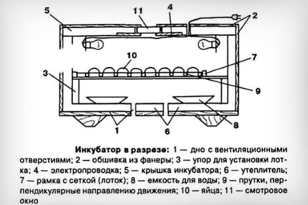 Інкубатор для перепелів своїми руками: креслення, інструкції, поради, відео