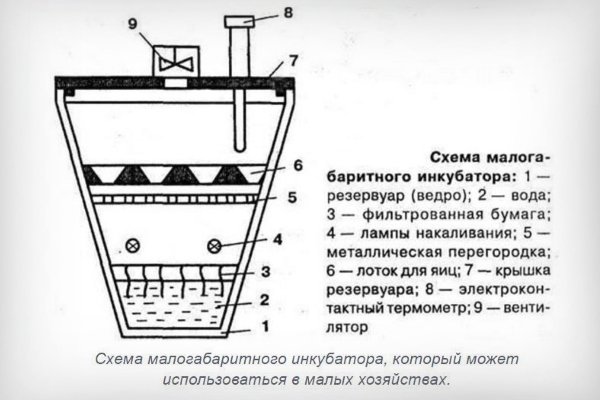 Інкубатор для перепелів своїми руками: креслення, інструкції, поради, відео