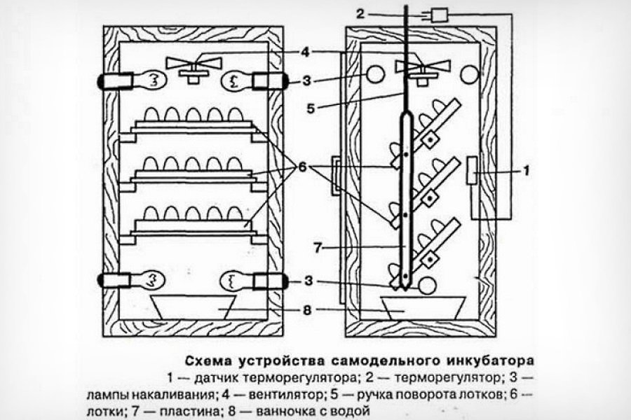 Інкубатор для перепелів своїми руками: креслення, інструкції, поради, відео
