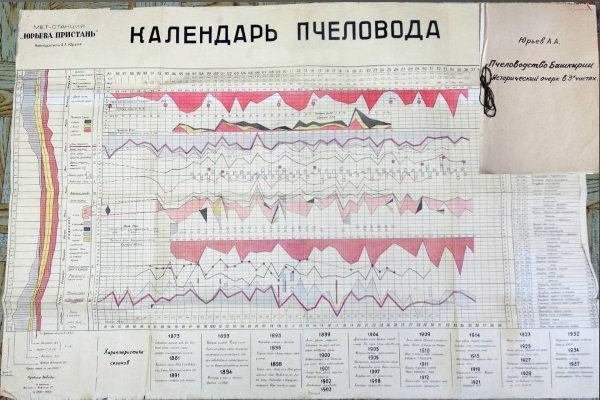 Календар пасічника по місяцях: завдання, заходи та перелік робіт