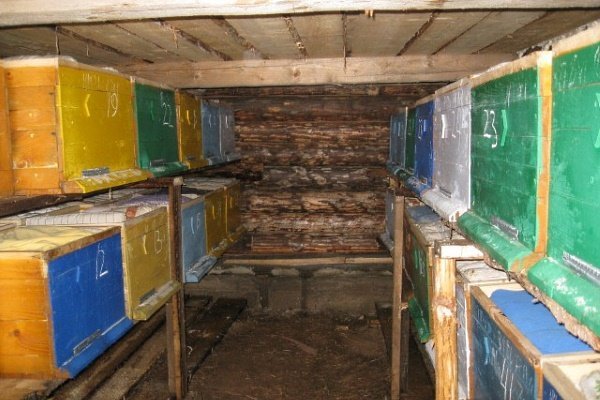 Календар пасічника по місяцях: завдання, заходи та перелік робіт