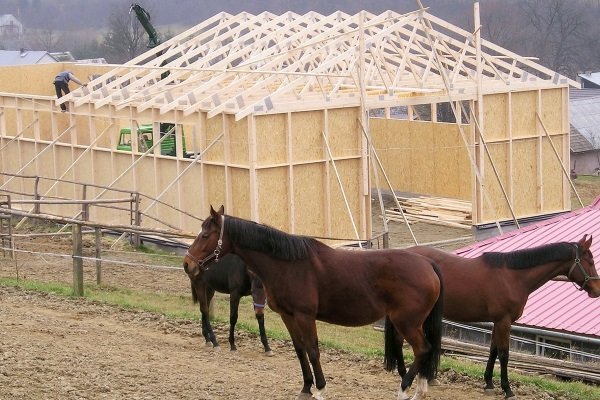 Стайня для коней: проектування і будівництво своїми руками
