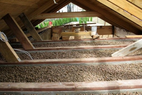 Стайня для коней: проектування і будівництво своїми руками