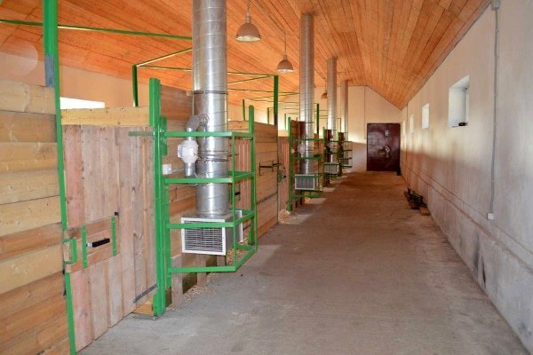 Стайня для коней: проектування і будівництво своїми руками