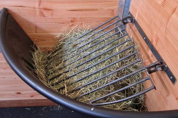 Стайня для коней: проектування і будівництво своїми руками