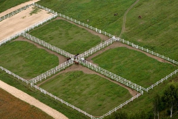 Стайня для коней: проектування і будівництво своїми руками