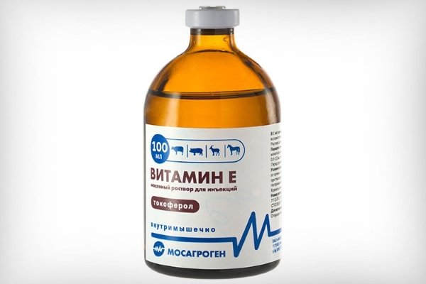 Ліки для голубів: перелік антибіотиків, вітамінів та інших препаратів