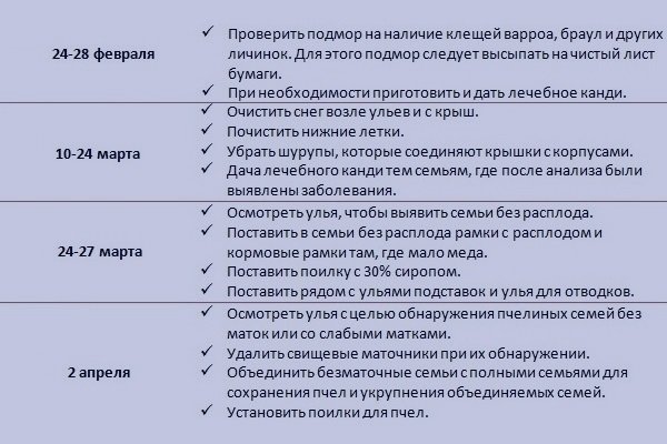 Метод Цебро у бджільництві: суть, вулик, виведення маток, зимівля, календар, поради